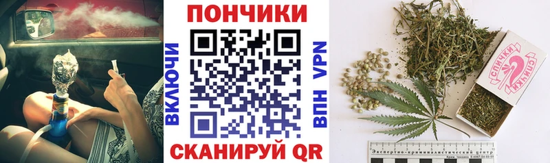 Шишки марихуана THC 21% дарнет шоп мега зеркало Мурино